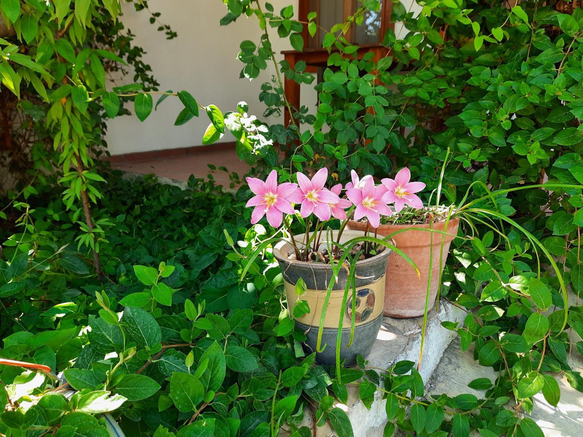 Ionia Guest House Айдын Экстерьер фото