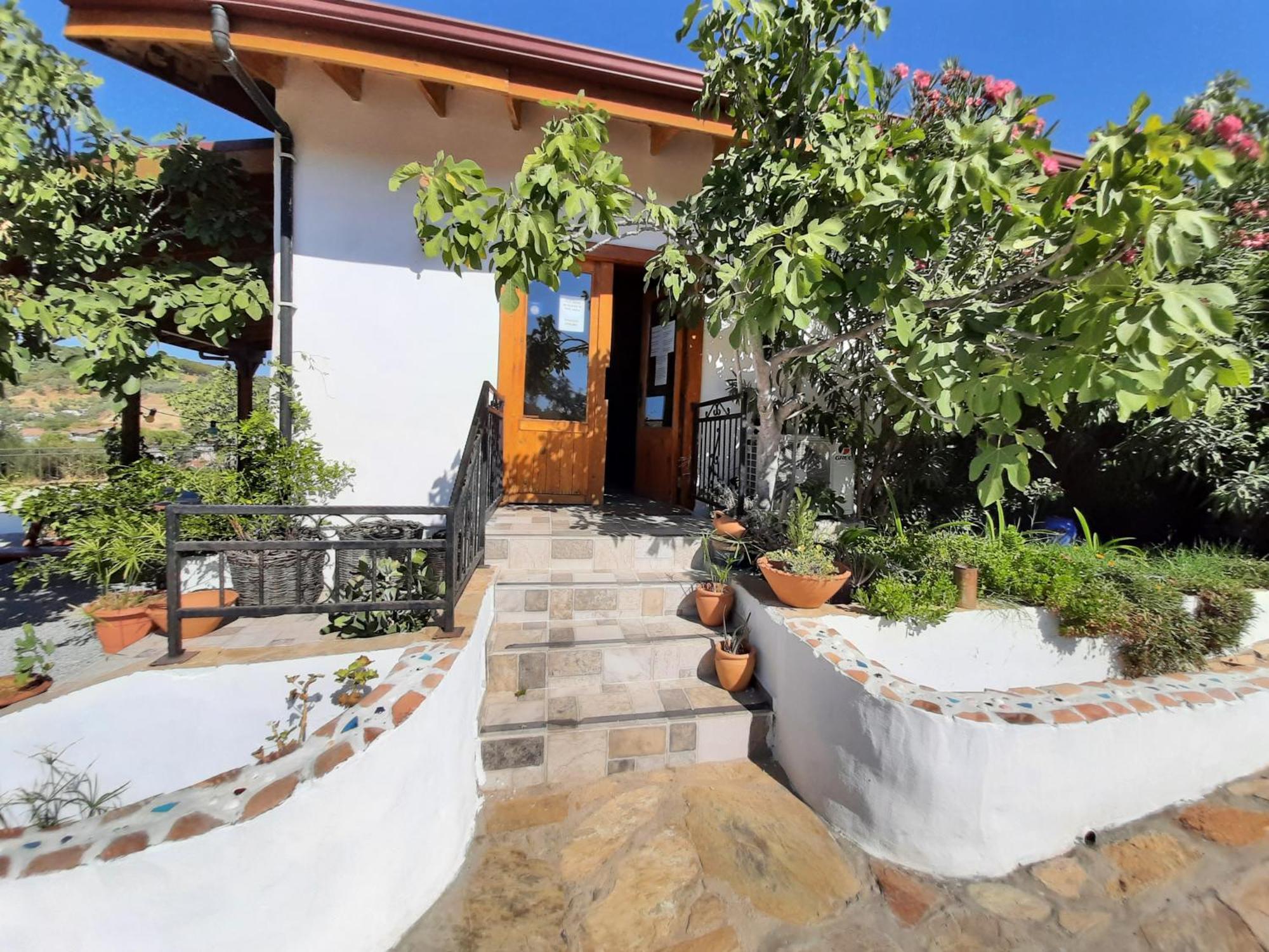 Ionia Guest House Айдын Экстерьер фото