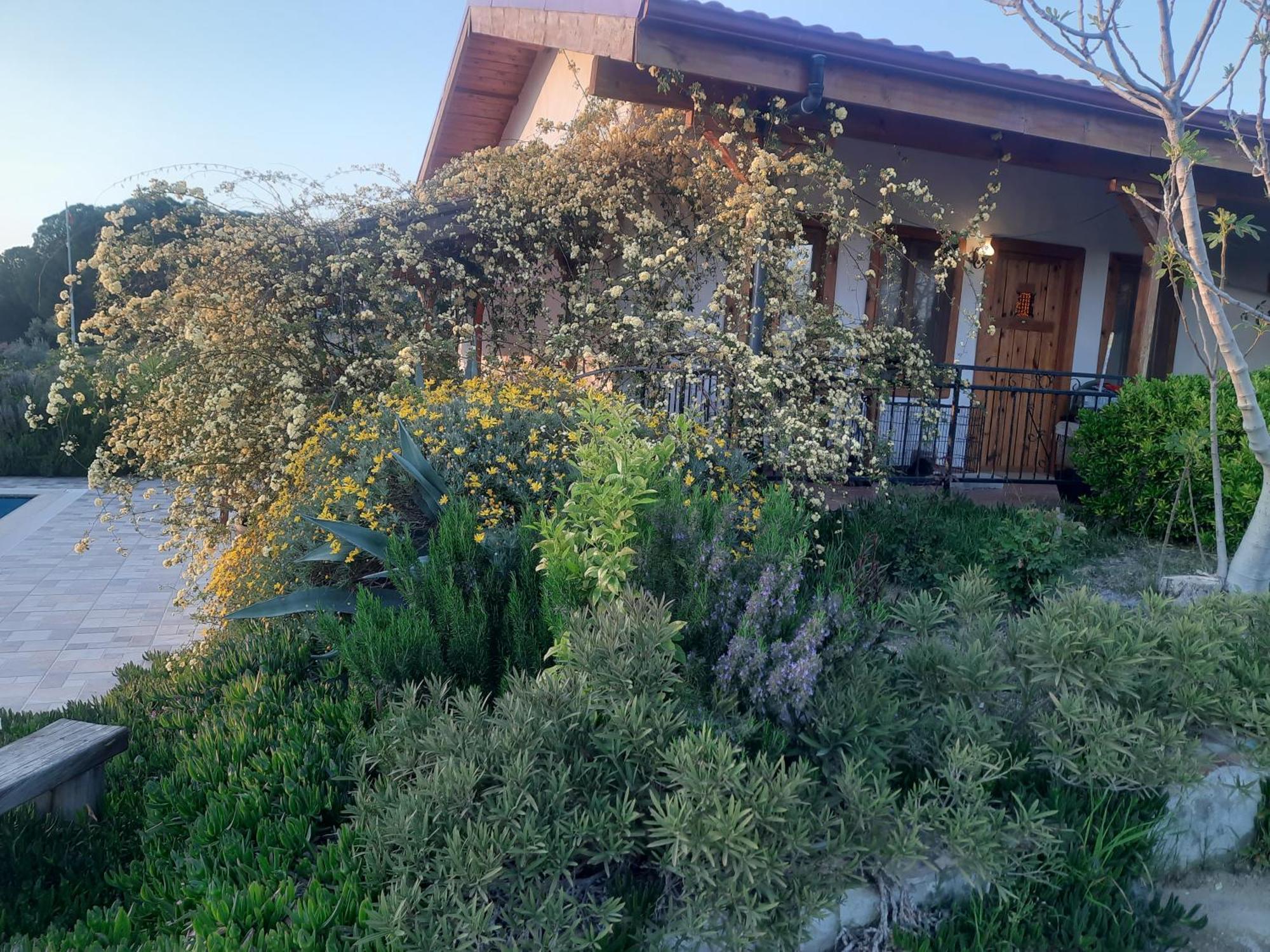 Ionia Guest House Айдын Экстерьер фото