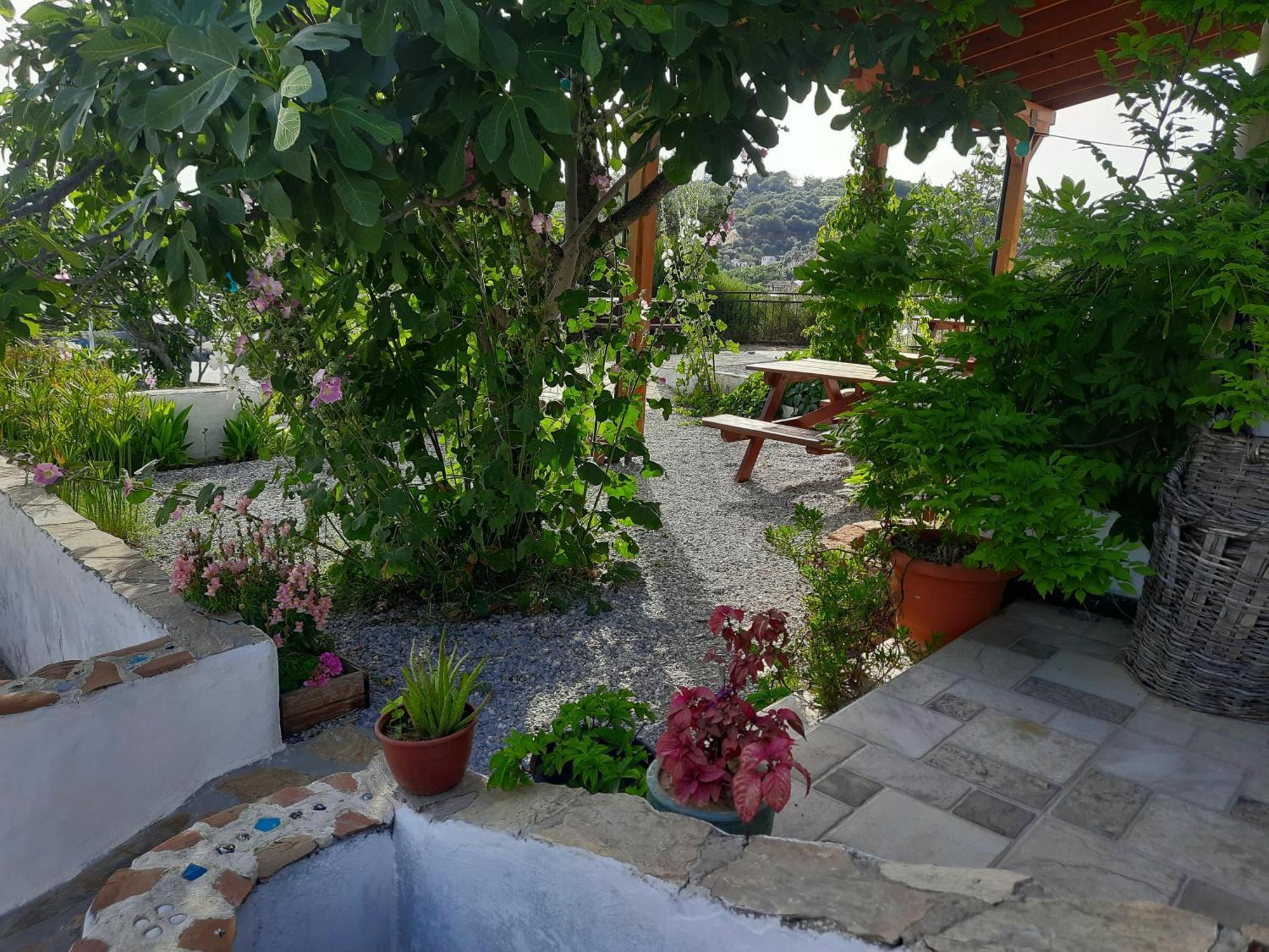 Ionia Guest House Айдын Экстерьер фото